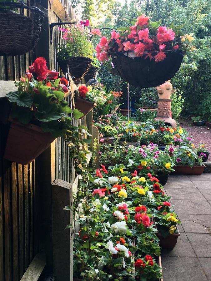 38 Whitehall Road Harrow on the Hill Esterno foto